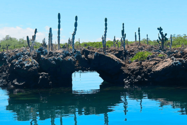 Galápagos Elemental 5D/4N