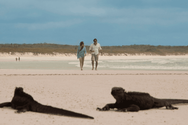 Galápagos Elemental 5D/4N