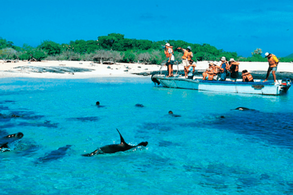 Galápagos Elemental 5D/4N