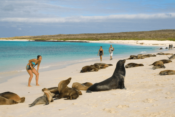 Agencia Los Turistas